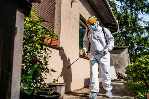 Best Best Pest Control Companies  in Saranac Lake, NY