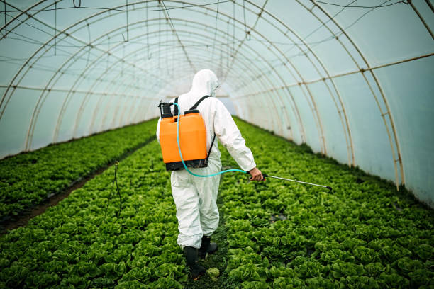 Professional Pest Control in Saranac Lake, NY