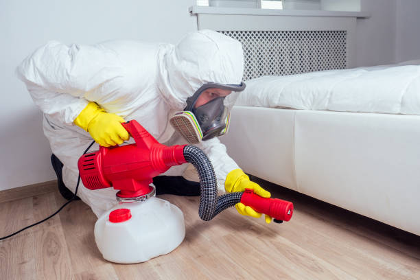 Best Termite Control Services  in Saranac Lake, NY