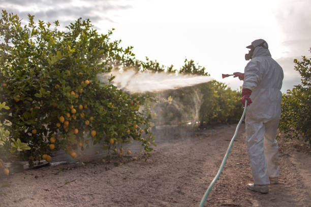 Best Emergency Pest Control  in Saranac Lake, NY