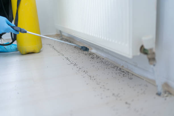  Saranac Lake, NY Pest Control Pros